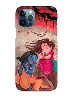 Radhe Krishna Water Art Snap Case for Apple Iphone 12 Pro