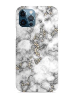 Gray And Gold Marble Snap Case for Apple Iphone 12 Pro
